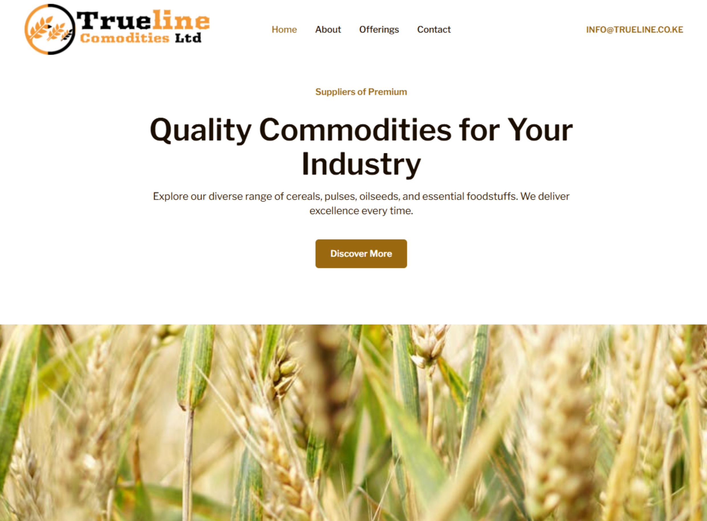 Ray Nyume Creates Simple and Stunning Static Website at a Reasonable Price